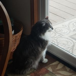 Meet your Posher, Jodie